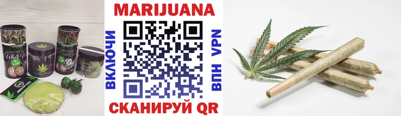 как найти наркотики  Грайворон  Cannafood конопля 