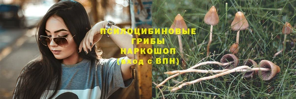 СК Алзамай